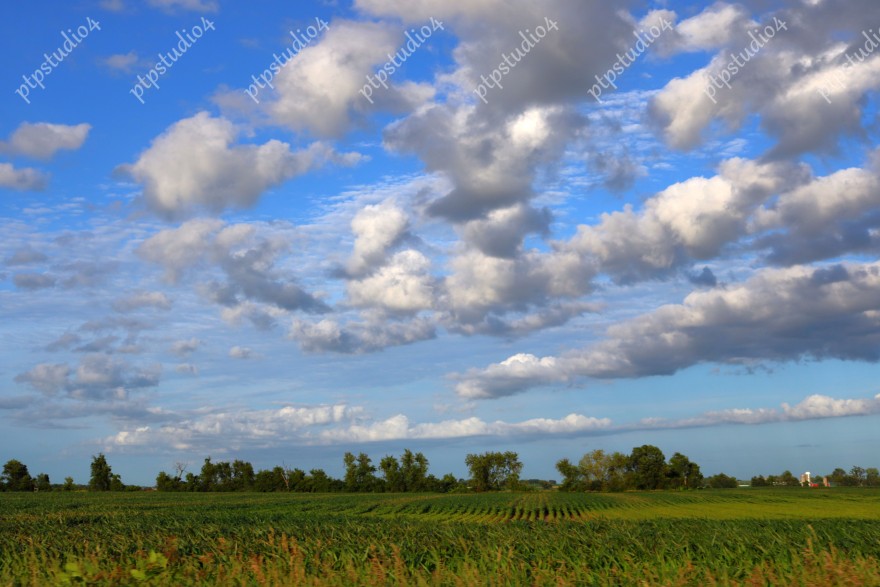 IMG 2260E Clouds Over Cornfield