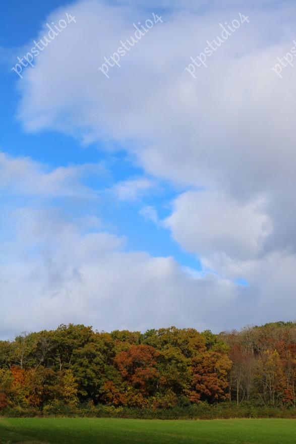 IMG 0084E Clouds Over Autumn Trees