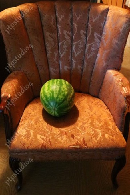 IMG 2832E Melon on a Chair